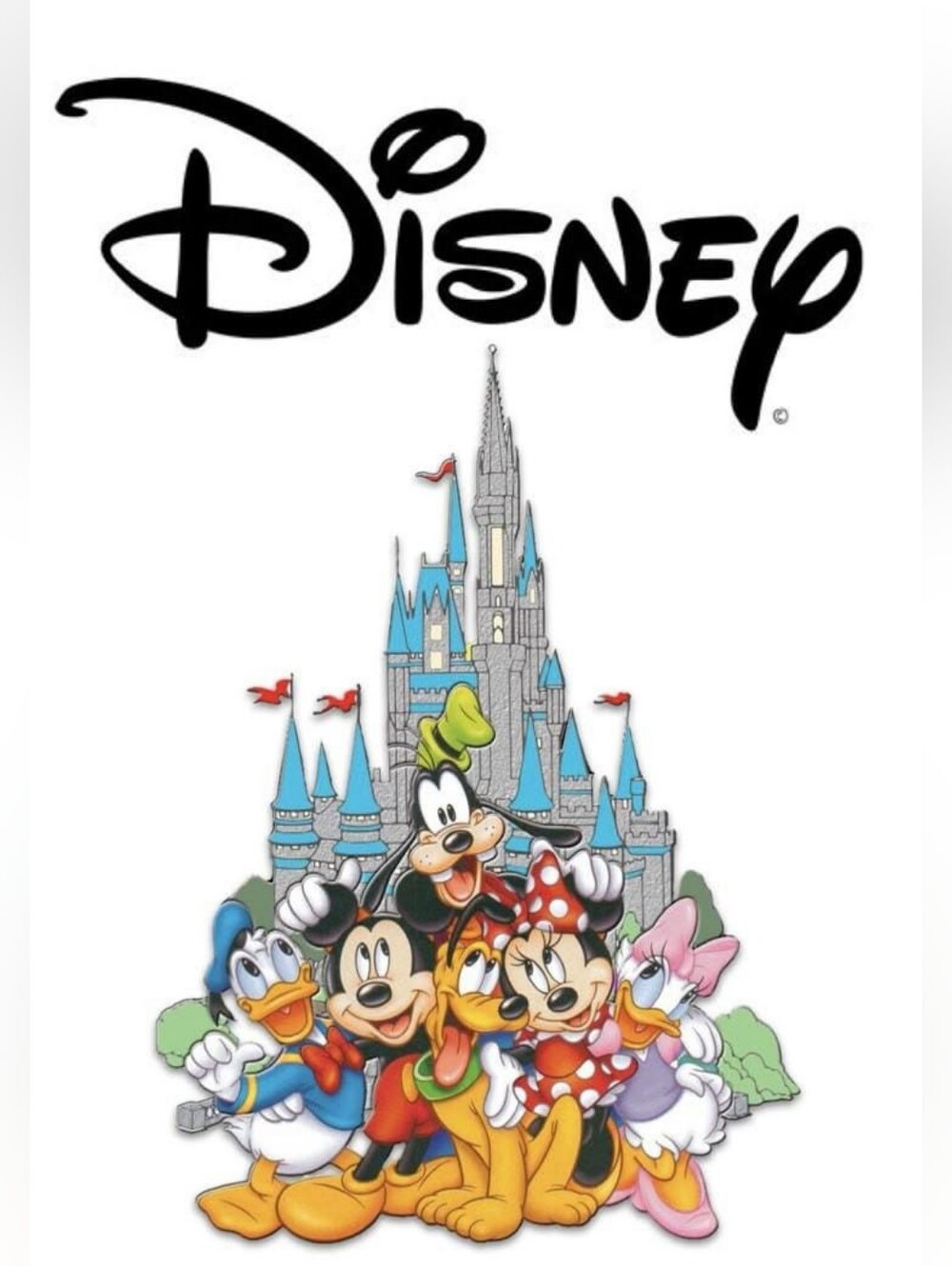 DISNEY MOUSE DISNEY